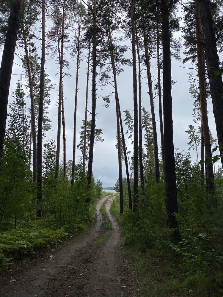 Photograph by Алиса Лукина