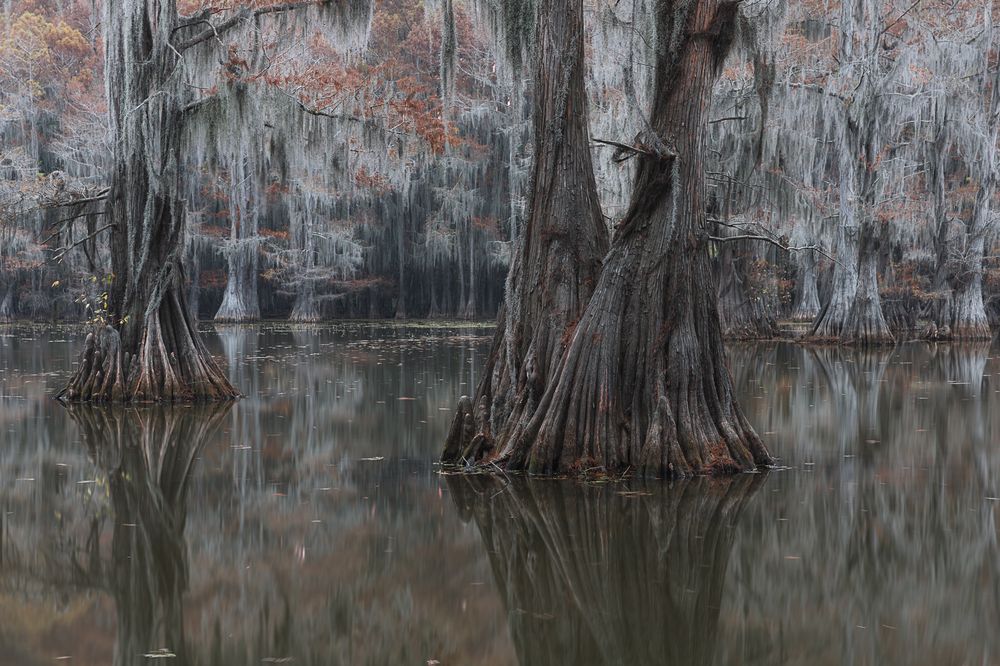 Photograph by Марина Маликова