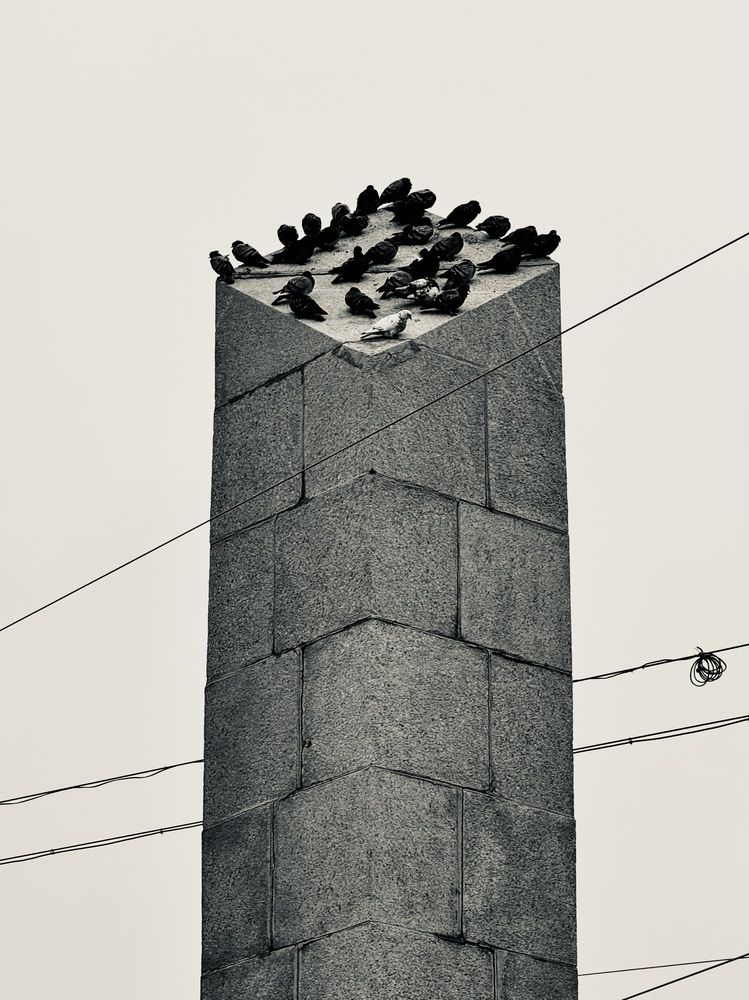 Фотография автора ГУЗАЛИЯ ГАНИЕВА