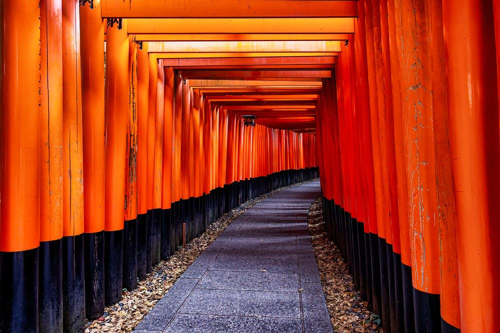 Photograph by Lutsenko Olena