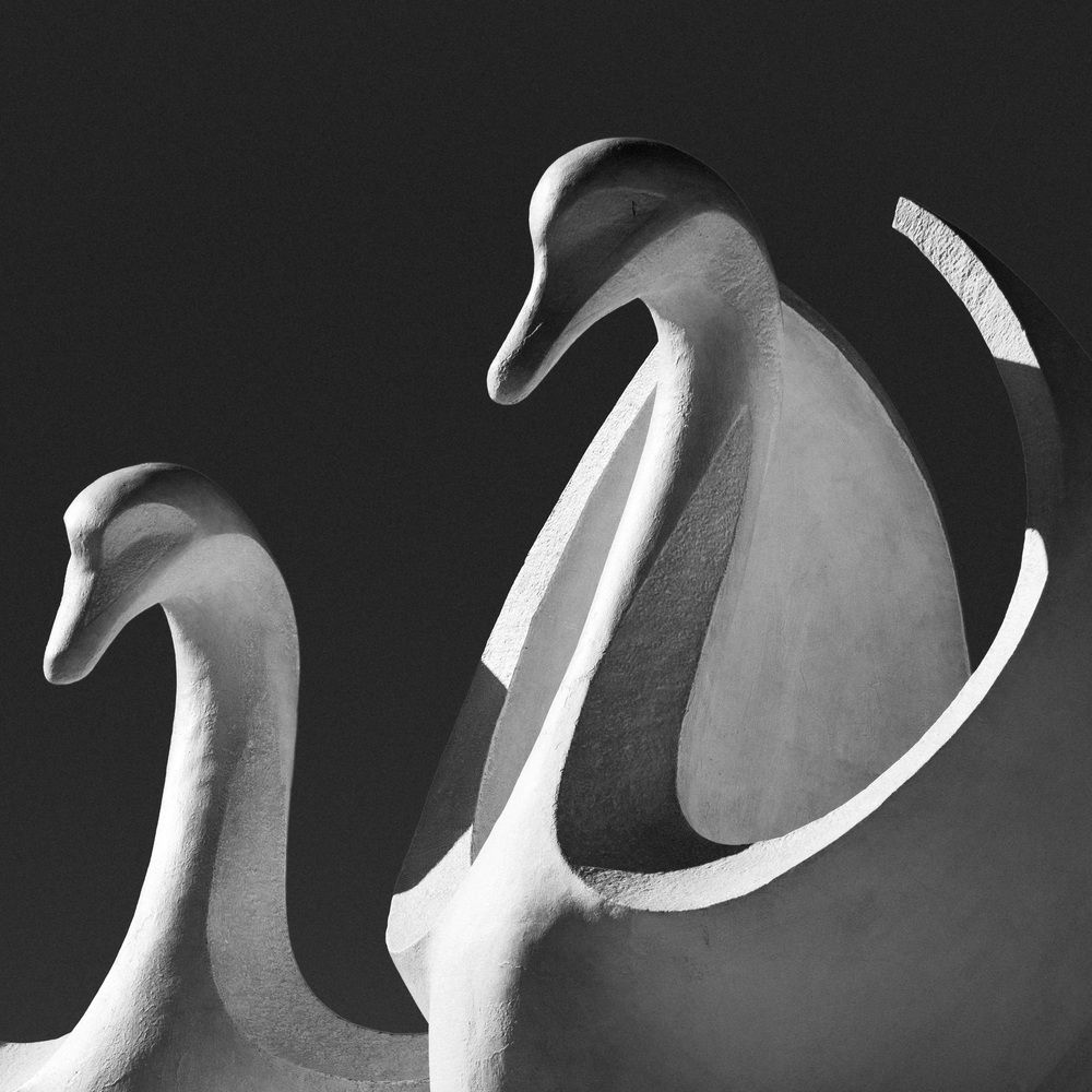 Photograph by Александр Соколов