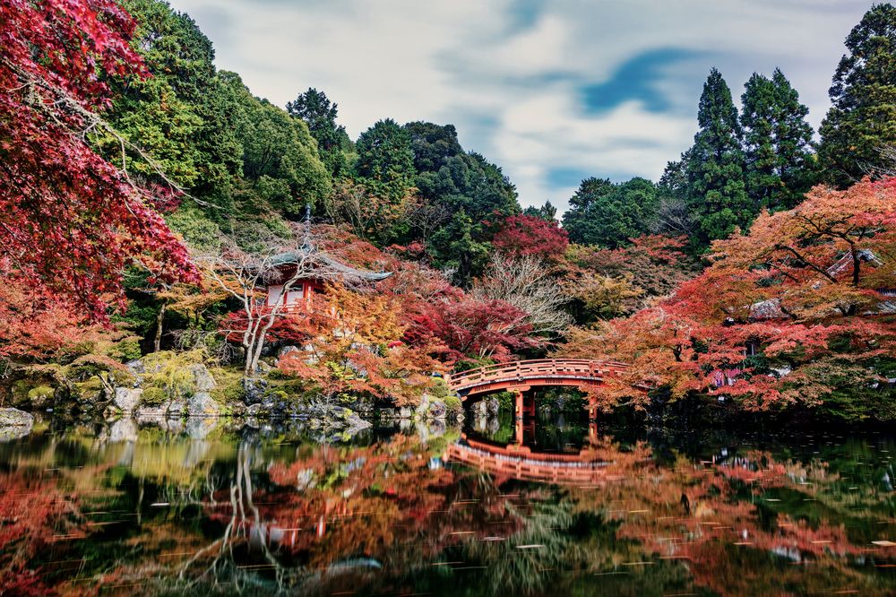 Photograph by Lutsenko Olena