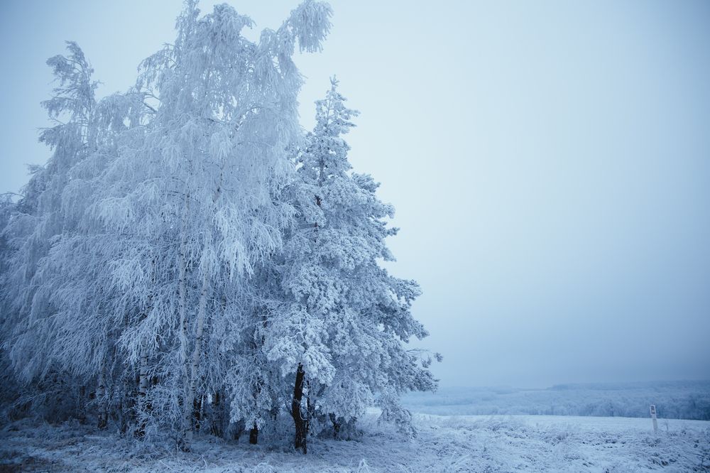 Photograph by Наталья Гранфельд
