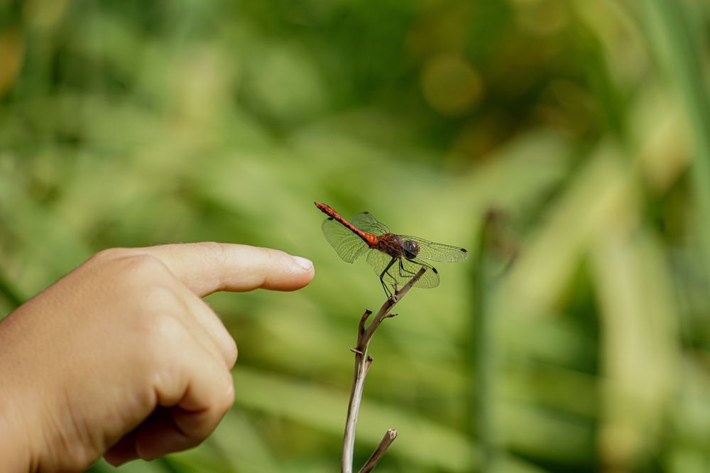 Photograph by Алфия Бугакова