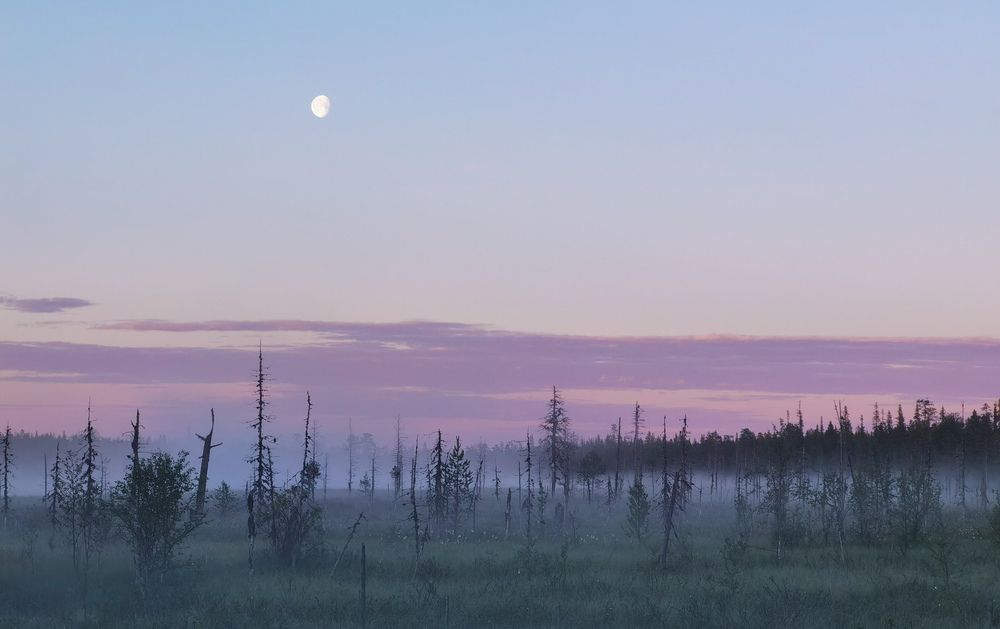 Photograph by Титова Дарья