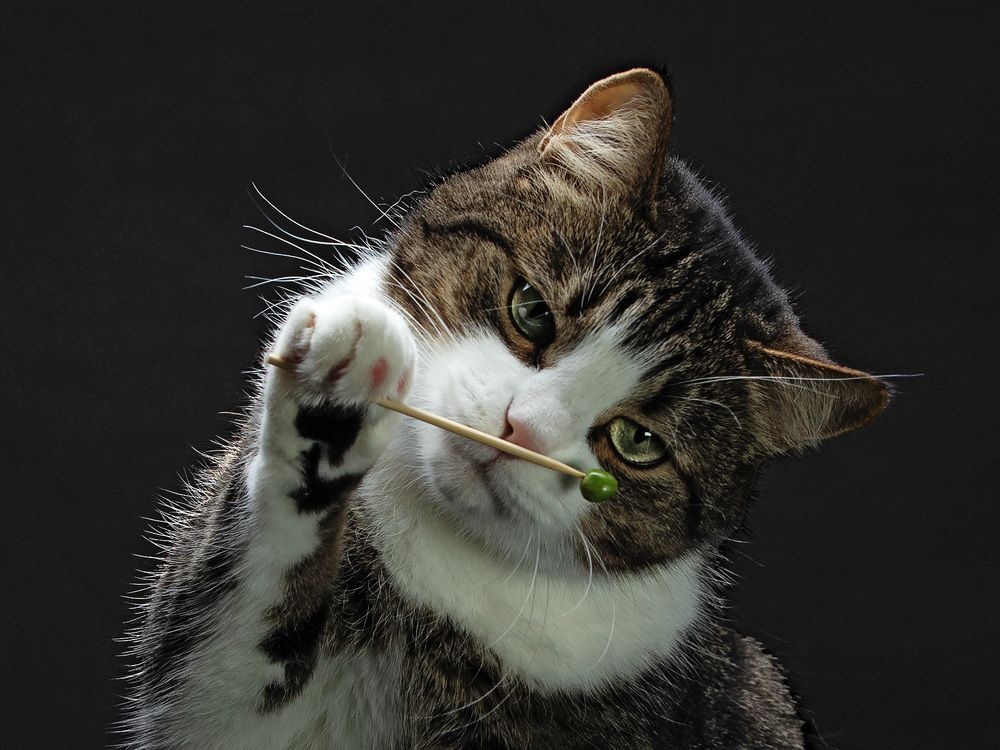 Photograph by Юрий Маслов