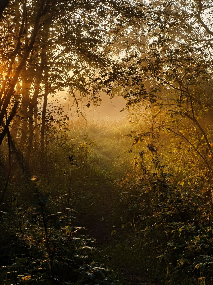 Photograph by Титова Дарья