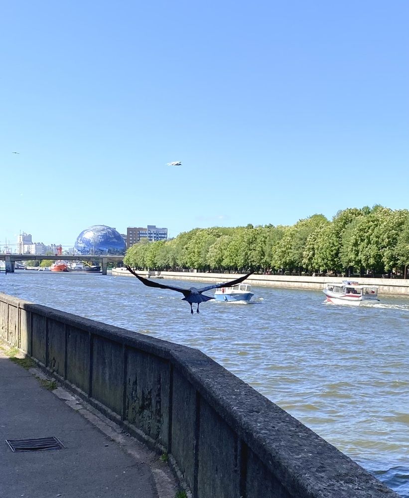 Photograph by Алиса Лукина