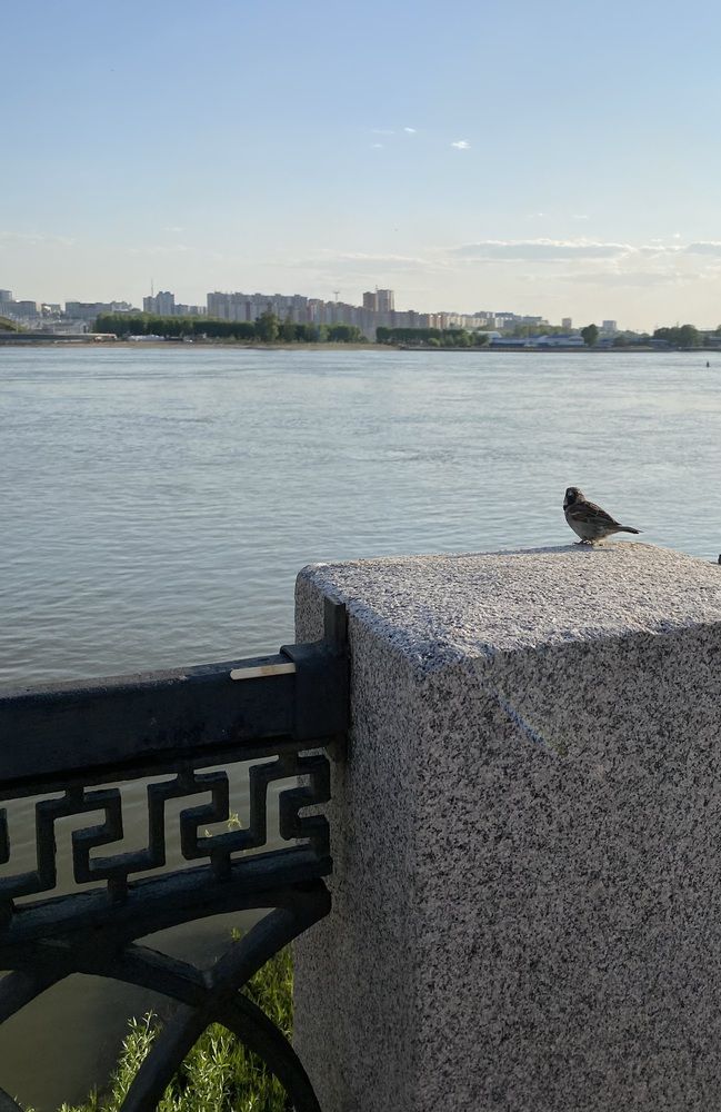 Photograph by Алиса Лукина