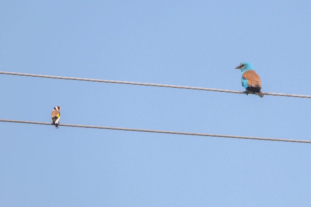 Photograph by Наталья Трифуз