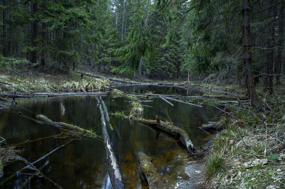 Photograph by Vladlen