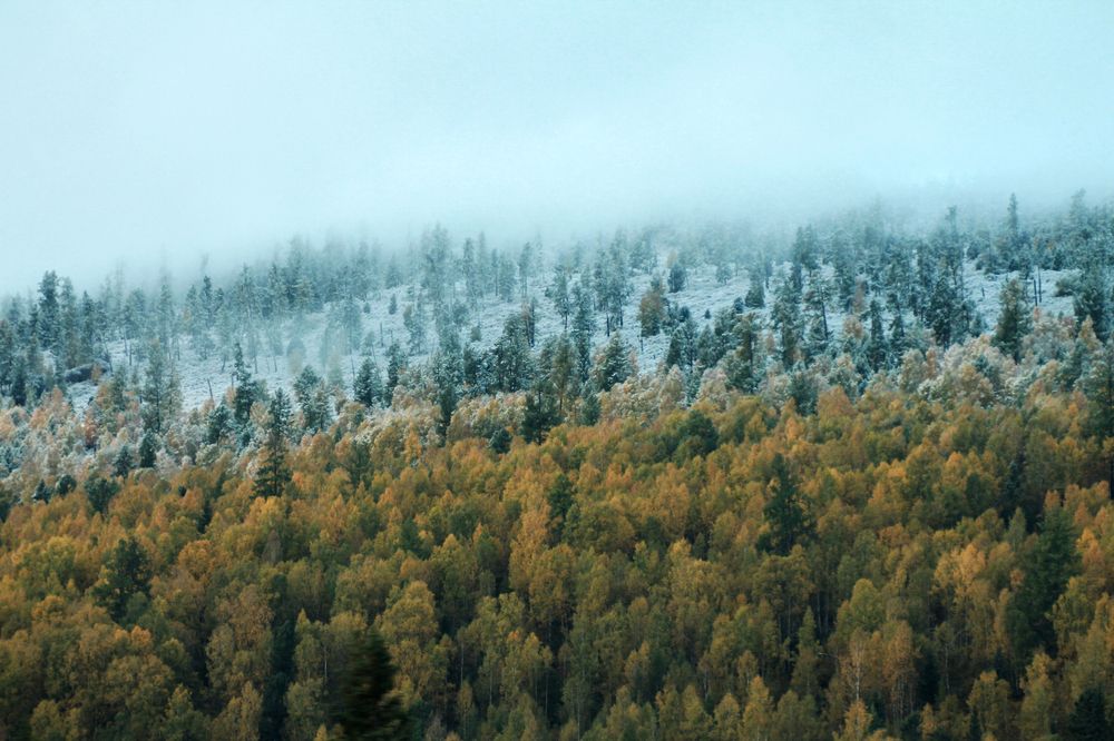 Photograph by Ольга Брусянина