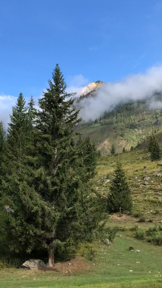 Photograph by Svetlana Tolkunova