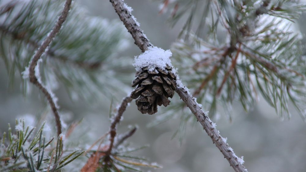 Photograph by Андрей Вешняков