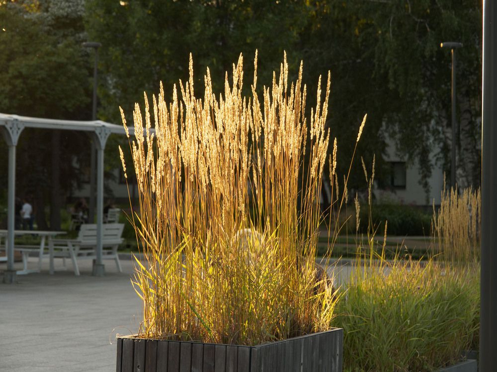 Photograph by Борис Полтавец