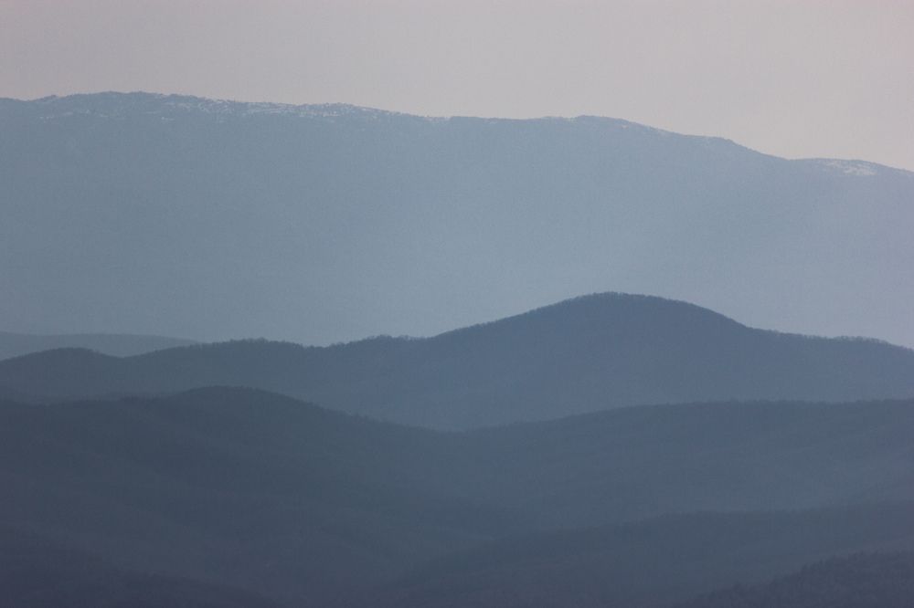 Фотография автора Евгений Петросян