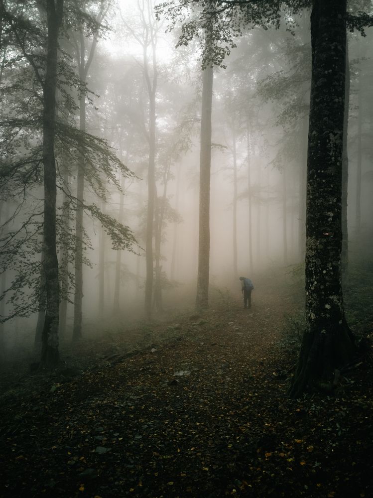 Photograph by Irina Tischer