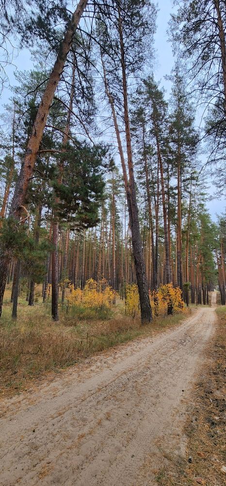 Photograph by Tatiana Denisova