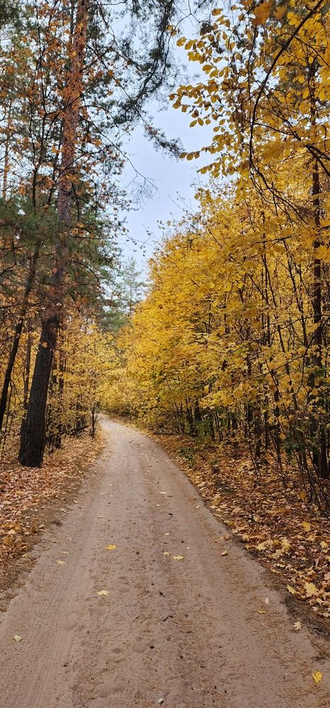 Photograph by Tatiana Denisova