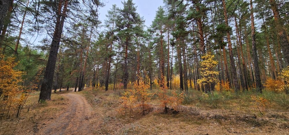 Photograph by Tatiana Denisova