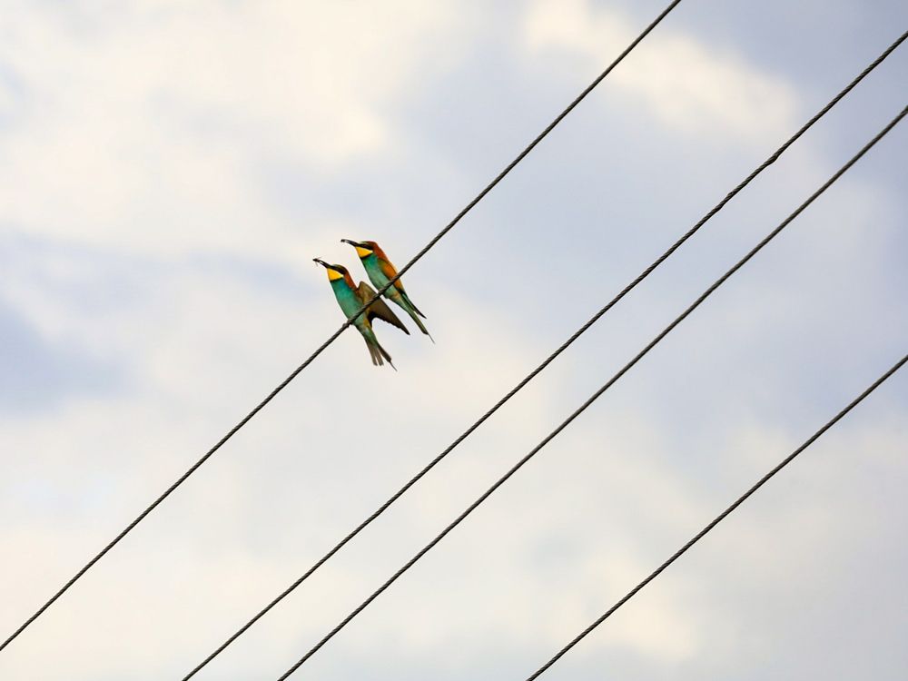 Photograph by Сергей Конюшенко