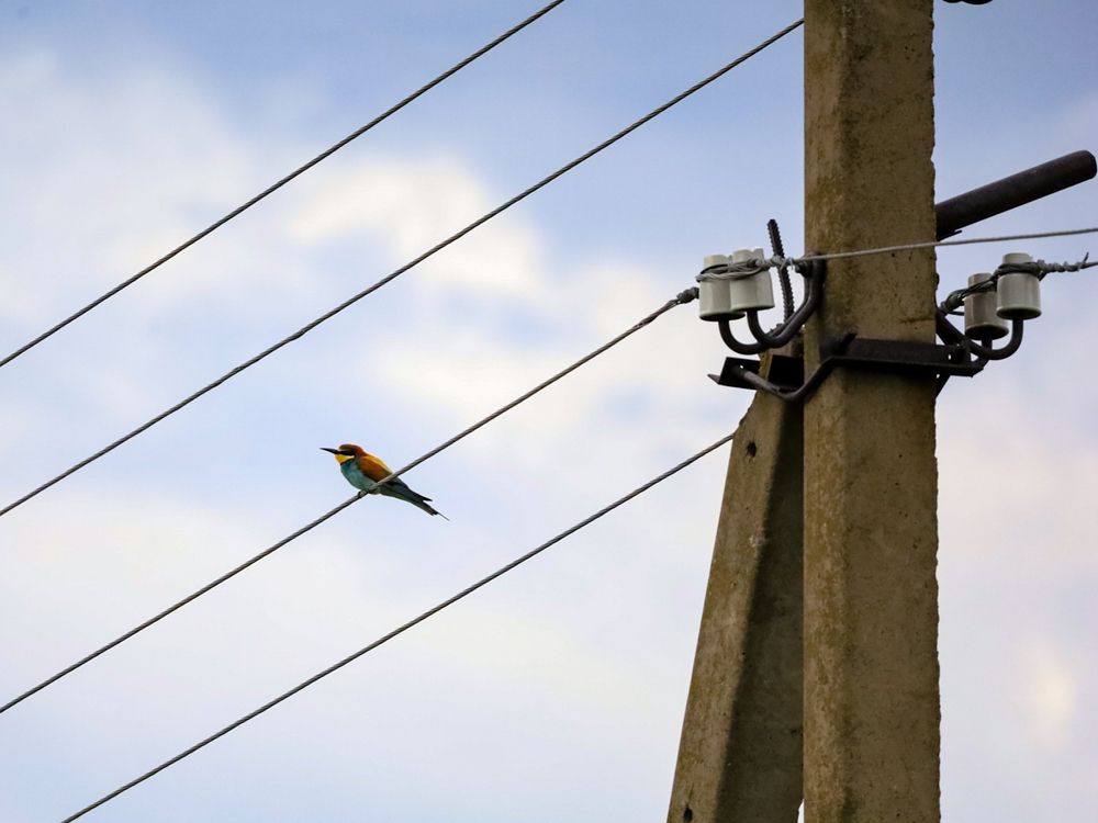 Photograph by Сергей Конюшенко