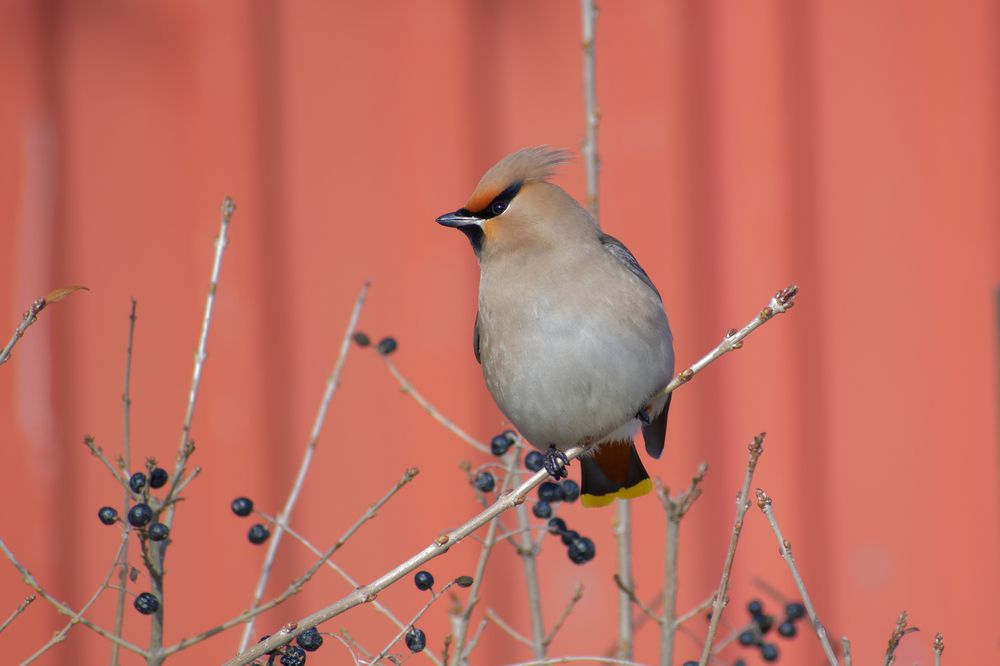 Photograph by Антон Громов