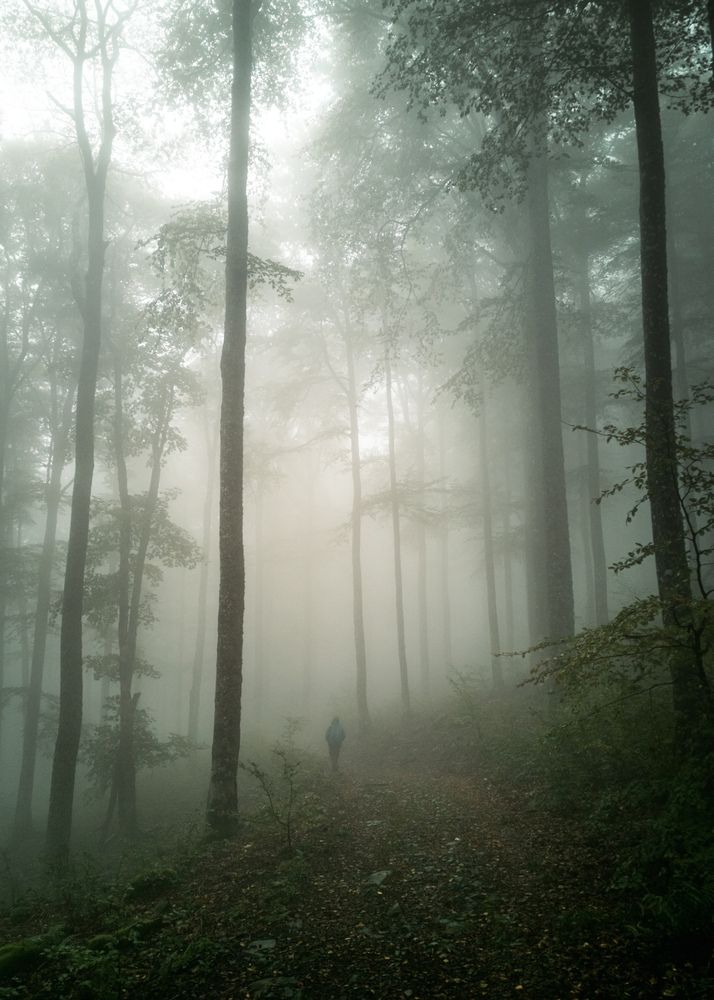 Photograph by Irina Tischer