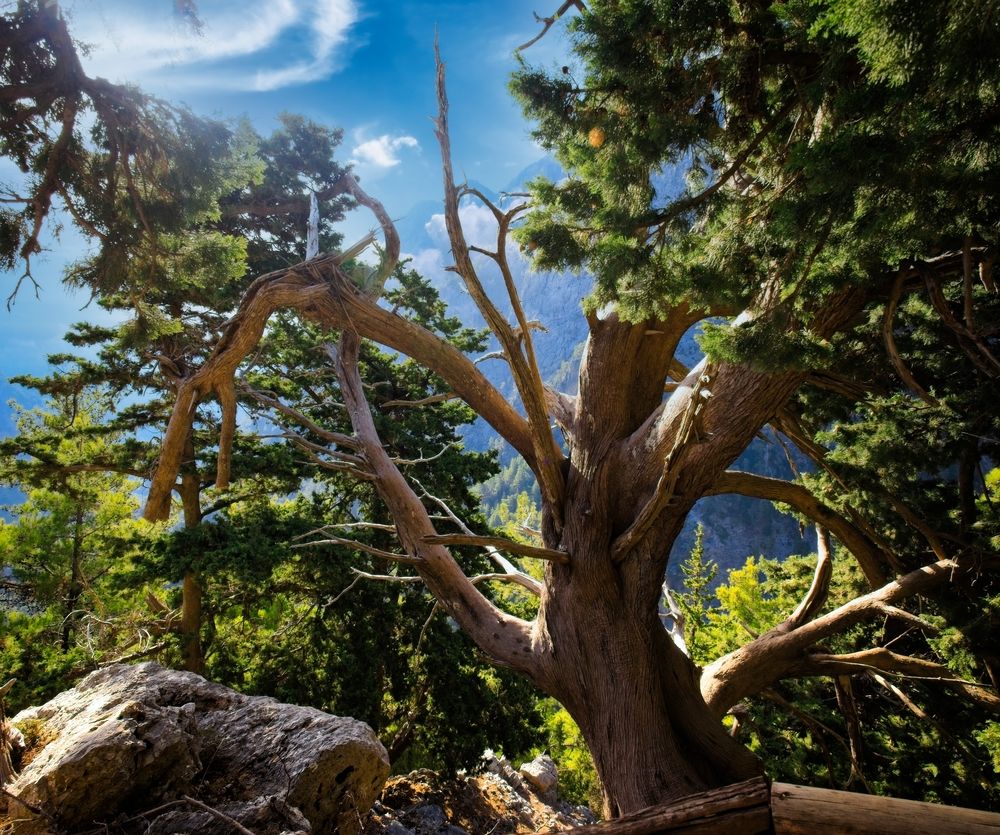 Фотография автора Vladimir Chu