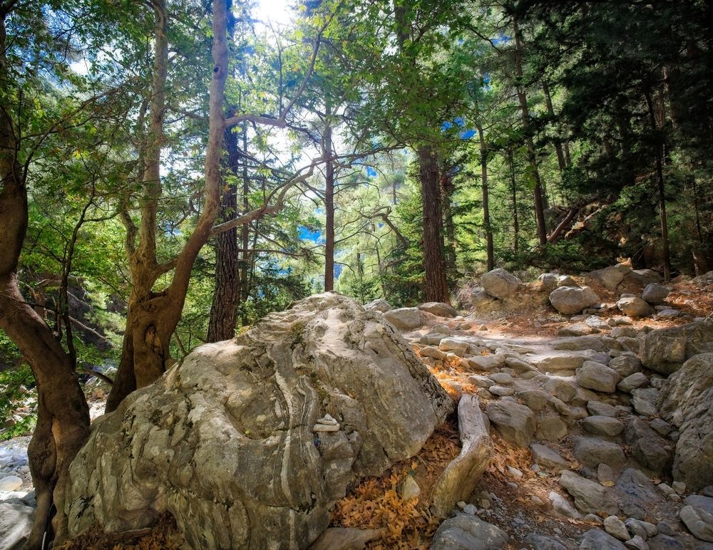 Фотография автора Vladimir Chu