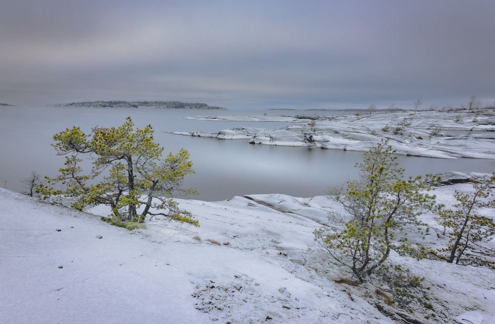 Фотография автора Лаврентьев Александр