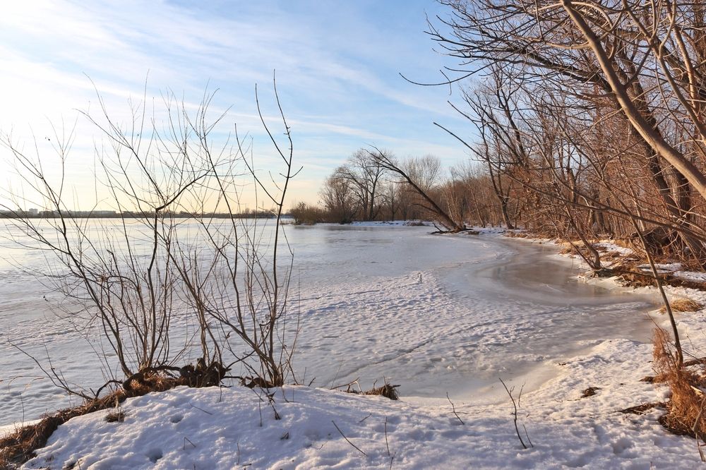 Photograph by Elena Bogomolova