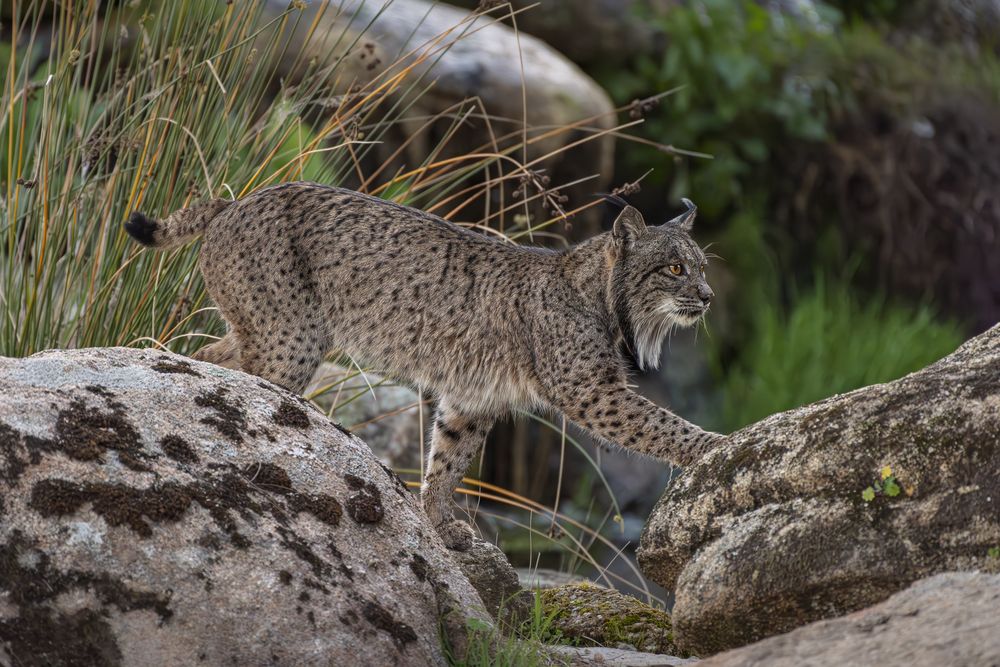 Фотография автора Paolo Barbarini
