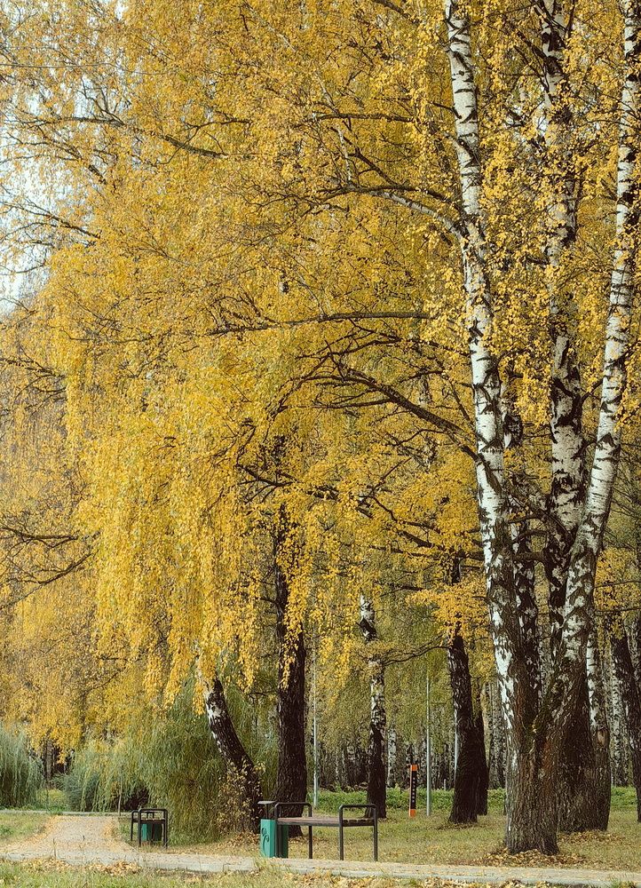 Photograph by Кристина Феминова