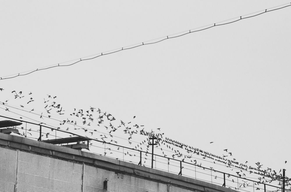 Photograph by Ольга Брусянина