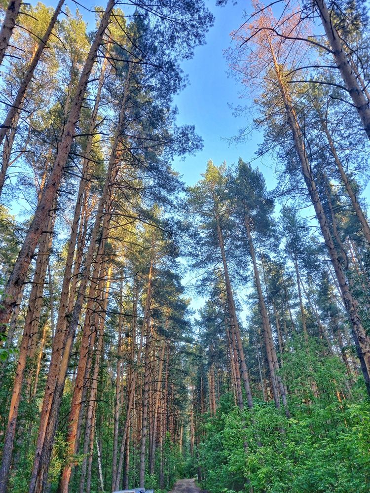 Photograph by Алсу Хусаинова