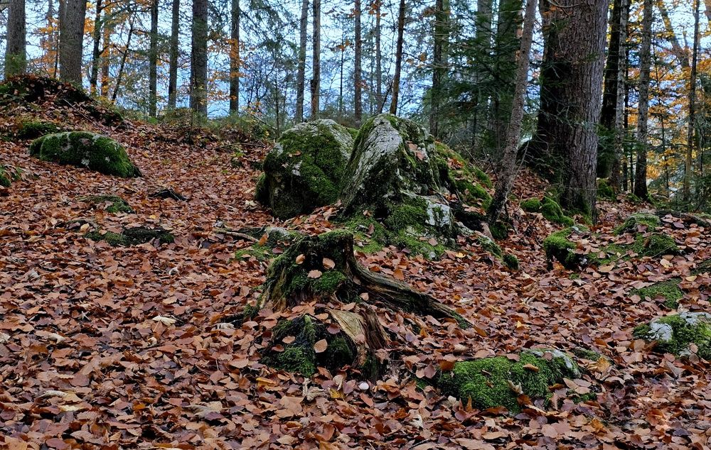 Photograph by Vladislav Kaplun