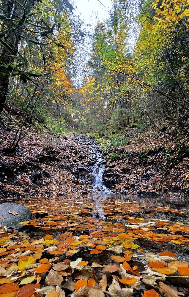 Photograph by Vladislav Kaplun