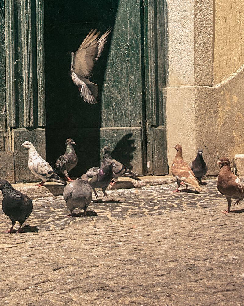 Фотография автора Лариса Гришкевич