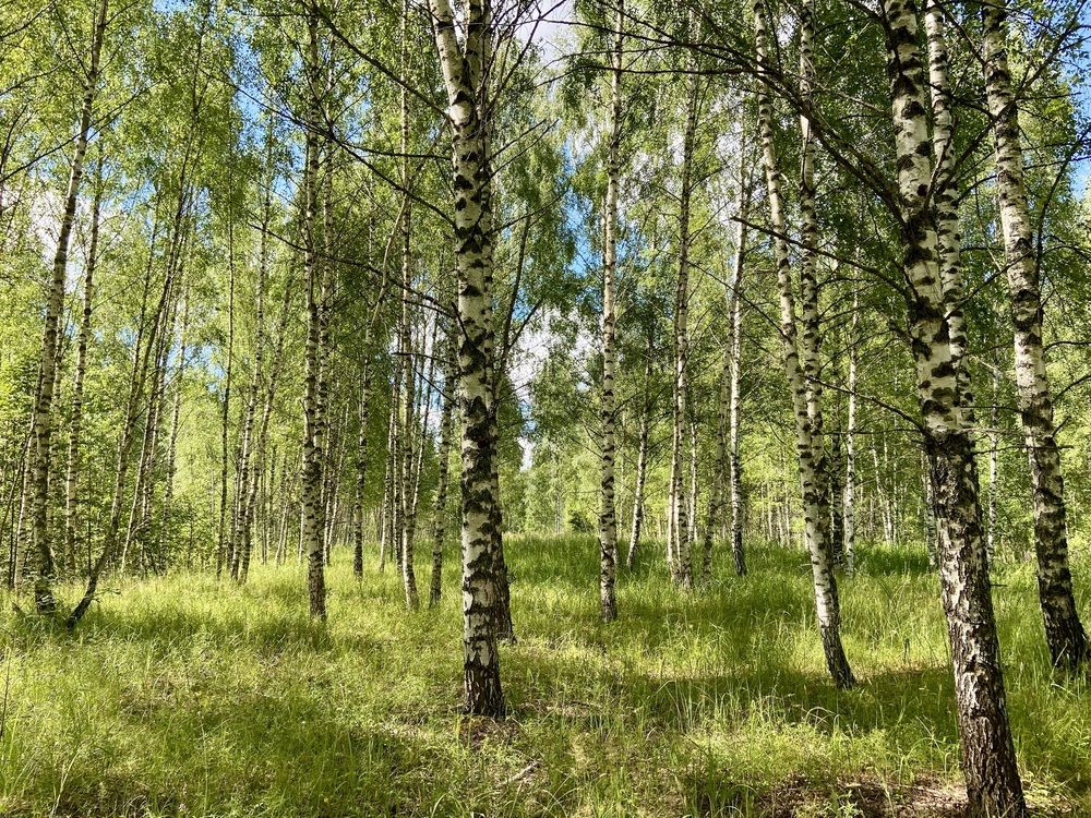 Photograph by Ирина Швейнова