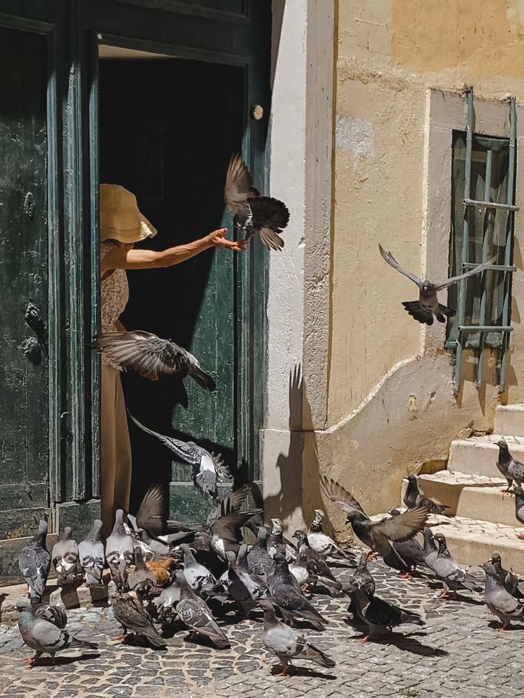 Фотография автора Лариса Гришкевич