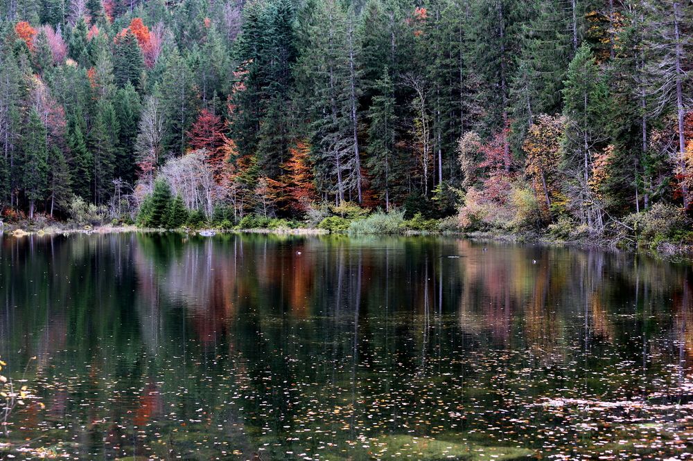 Photograph by Vladislav Kaplun