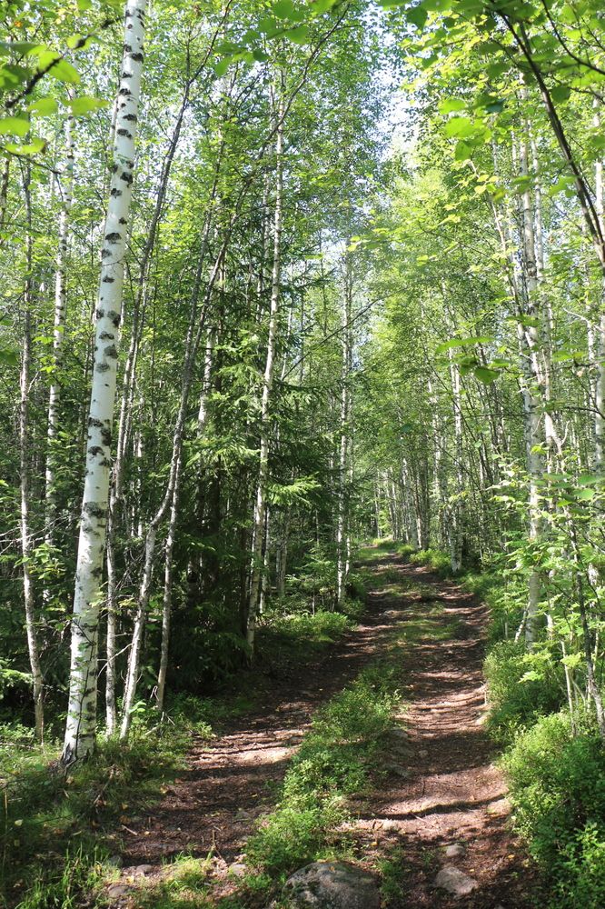 Photograph by Анастасия Бородина