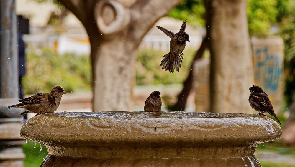 Photograph by Андрей Панин