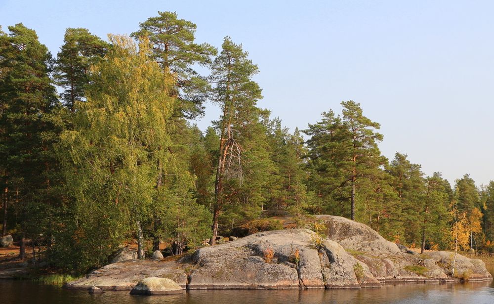 Photograph by Анастасия Бородина