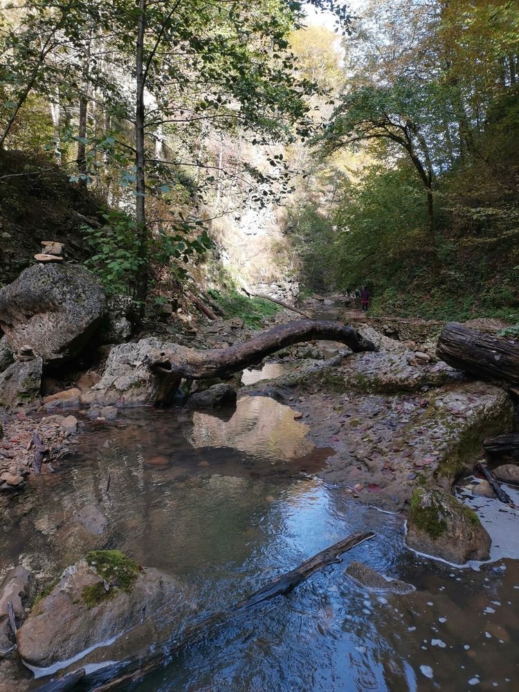 Photograph by Бойкова Наталия