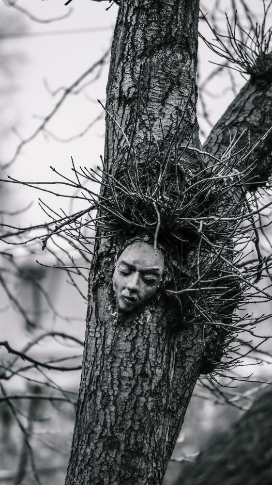 Фотография автора Медведева Елена