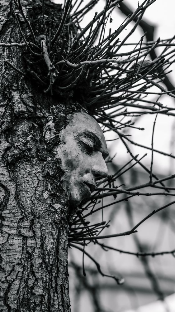 Фотография автора Медведева Елена