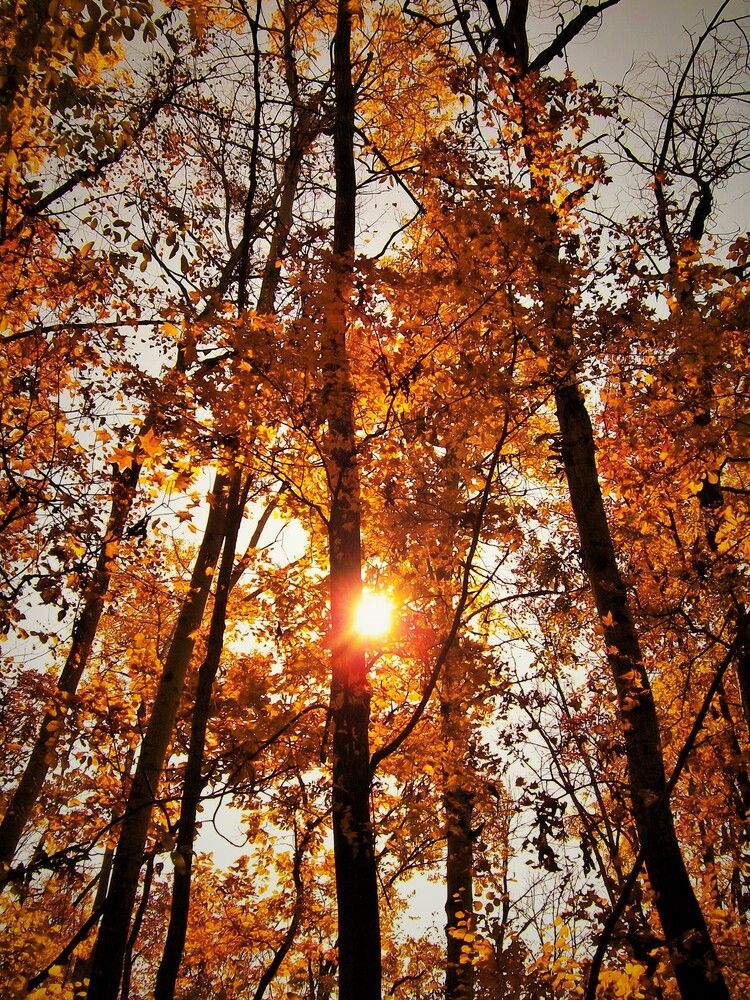 Photograph by Андрей Звездов