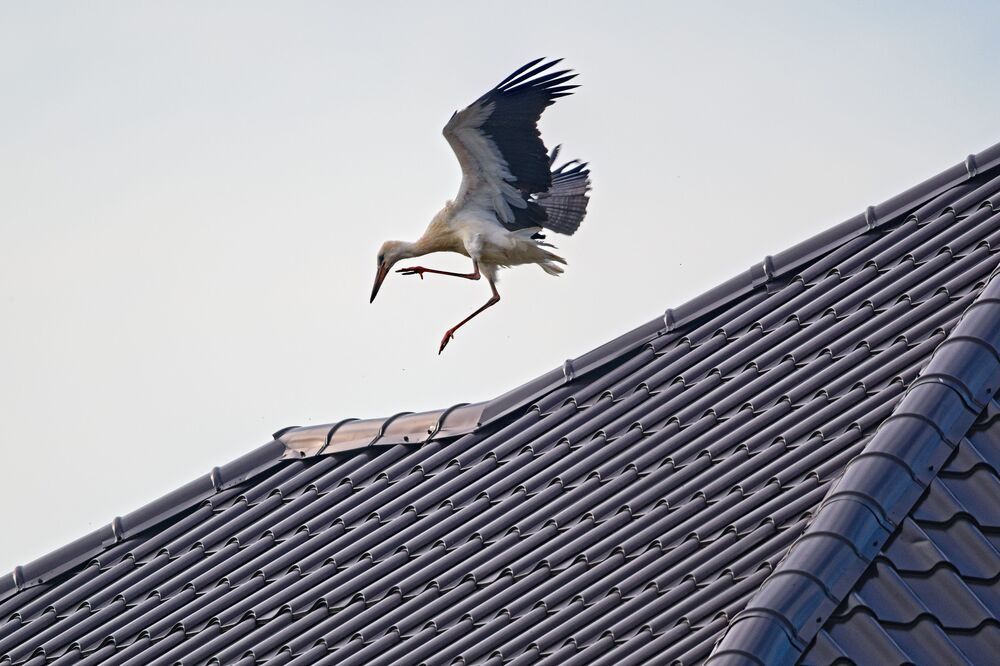 Photograph by Boeva Yuliya